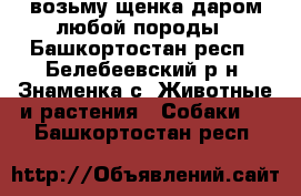 возьму щенка даром любой породы - Башкортостан респ., Белебеевский р-н, Знаменка с. Животные и растения » Собаки   . Башкортостан респ.